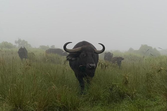 03 days Serengeti and Ngorongoro Crater group (camping) - Day 1: The long road into Serengeti National Park