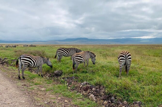 03 days Serengeti and Ngorongoro Crater group (camping) - Day 2: Seronera wildlife and sunset above the crater