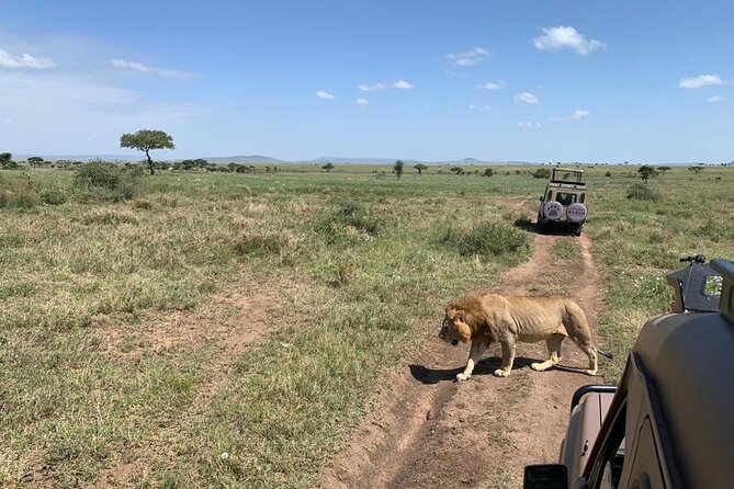 04 Days Tarangire, Serengeti and Ngorongoro crater group (Camping - Serengeti offers the biggest wildlife payoff