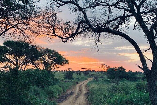 04 Days Tarangire, Serengeti and Ngorongoro crater group (Camping - The journey to the crater rim brings a change of pace