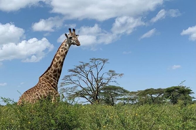 04 Days Tarangire, Serengeti and Ngorongoro crater group (Camping - The road to Serengeti is part of the experience