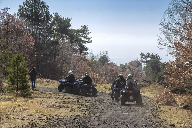 1 1/2 - 2 Hours Guided Excursion of Etna by Quad - Starting at Piazzale Rifugio Sapienza