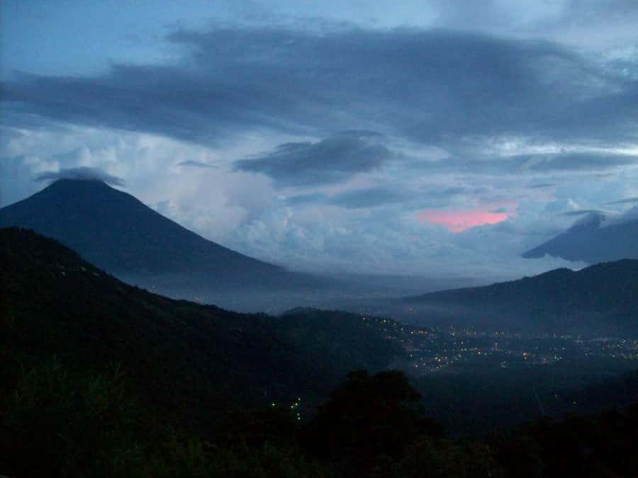 1 Day Acatenango Volcano Hike from Antigua - Coniferous forest and the last tree line