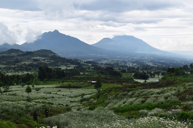 1-Day Bisoke Volcano Hiking Experience - Who should book this Bisoke experience?