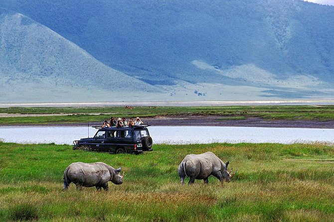 1 Day Joined Group Safari in Ngorongoro Crater National Park - Why Ngorongoro Crater works for a one-day safari