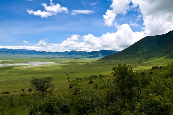 1 Day Joined Group Safari in Ngorongoro Crater National Park - Breakfast at the campsite around 7:00 am
