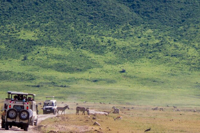 1 Day Ngorongoro Crater Group Jioning Safari - Ngoitokok swamp makes lunch part of the safari