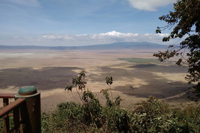 1 Day Ngorongoro Crater Group Jioning Safari - Afternoon game viewing before the climb out