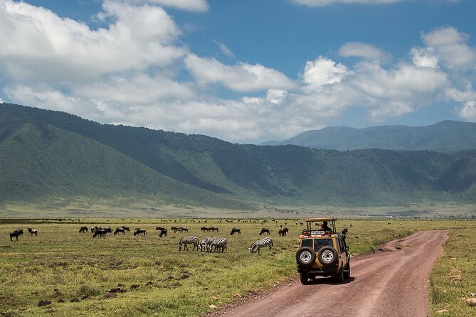 1 Day Ngorongoro Crater Group Jioning Safari - What the $325 price includes