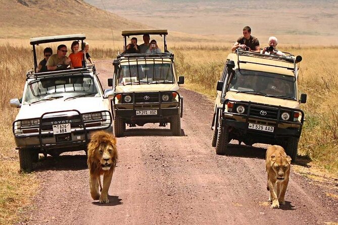 1 Day Private Ngorongoro Crater Safari - The hippo pool picnic lunch