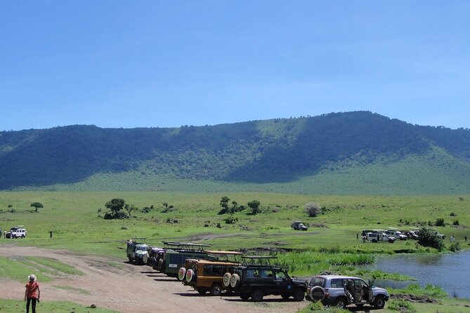 1 Day Private Ngorongoro Crater Safari - Is the $565.18 price good value?
