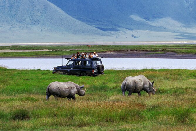 1 Day Private Ngorongoro Crater Safari - Arriving at the conservation area