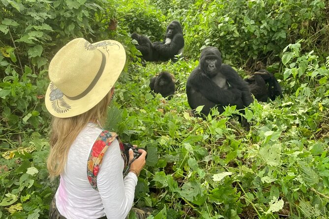 1 Day Rwanda Gorilla Trekking Tour In The Volcanoes National Park - What the private driver-guide adds