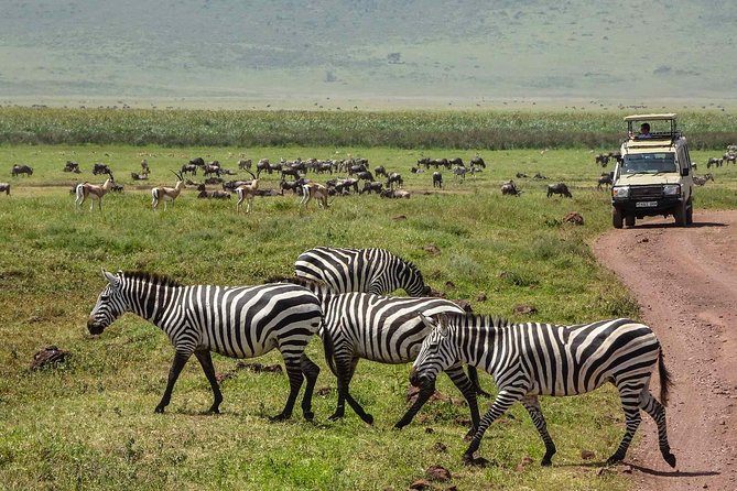 1-Day Tour to Ngorongoro Crater - Booking, Cancellation, and Final Advice