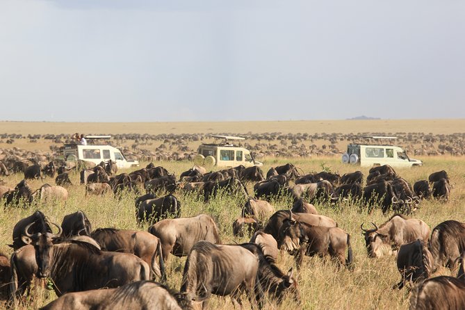 1 days Tanzania Sharing Joining group Safari - Ngorongoro Crater - Leaving Moshi or Arusha for the crater