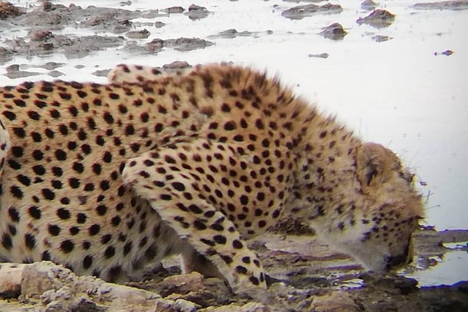 1 Daytrip Amazing to Ngorongoro Crater from Arusha or Moshi - What the 6:00 am departure looks like