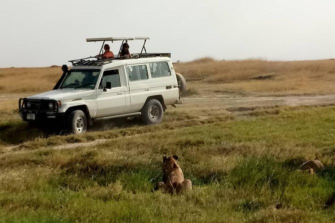 1 Daytrip Amazing to Ngorongoro Crater from Arusha or Moshi - Who will enjoy this experience most