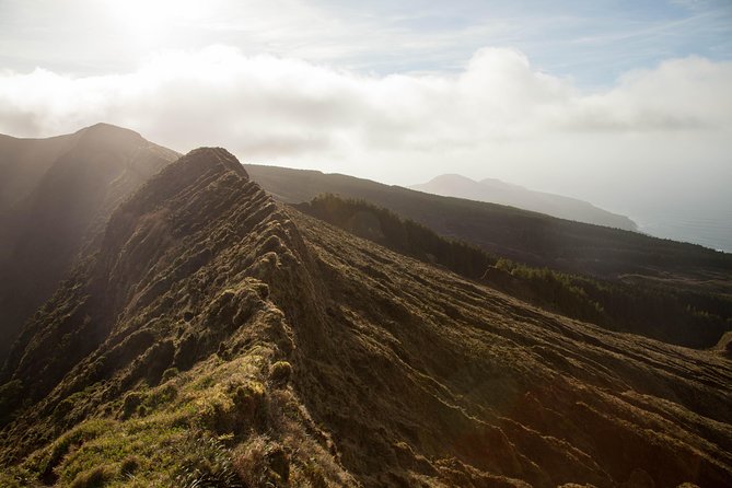 10 Volcanos hiking private tour in Faial - Native forest and Faial’s endemic plants