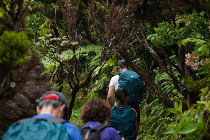 10 Volcanos hiking private tour in Faial - Westward through Faial’s youngest volcanic system