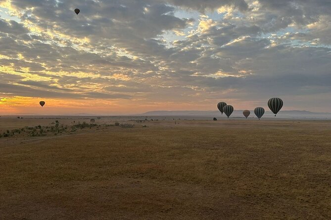 11-Day Wildebeest Migration Serengeti, Mara, Ngorongoro Crater. - What the route really offers in 11 days