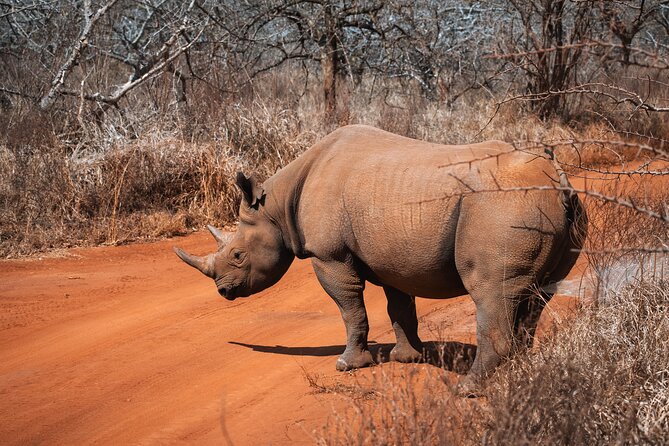 2 Day Tanzania Safari in Tarangire and Ngorongoro Crater - Who Will Enjoy This Safari Most?
