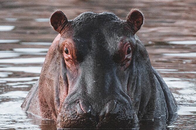 2 Day Tanzania Safari in Tarangire and Ngorongoro Crater - Night Between the Parks