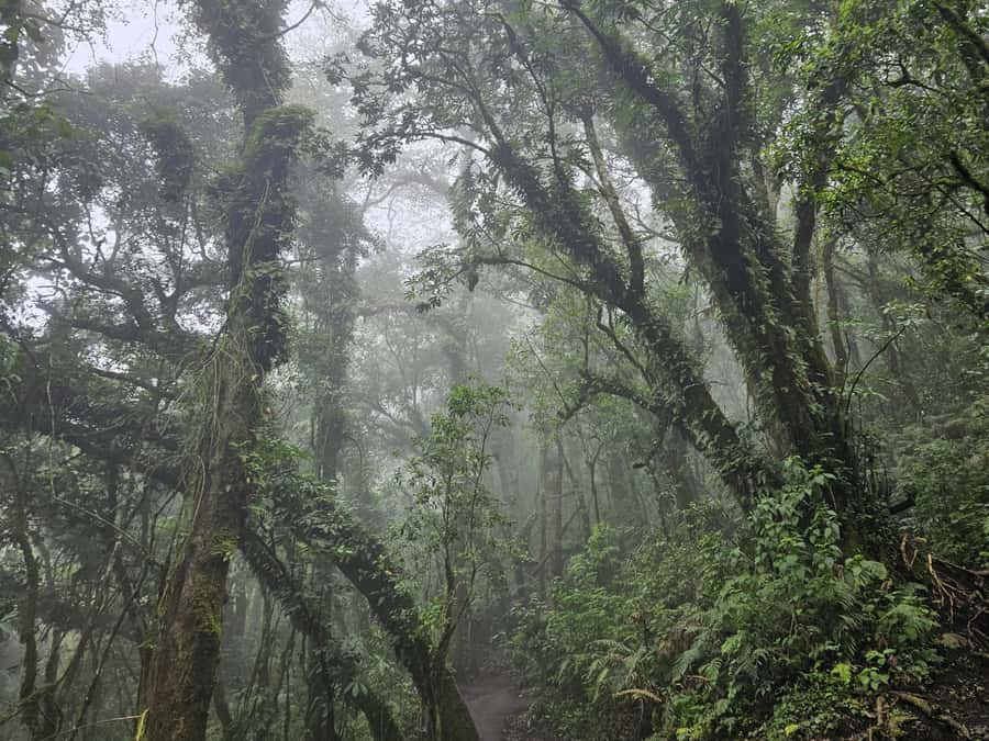 2-day tour from Antigua 1 night in Acatenango Volcano - The 4:00 AM push to Acatenango’s summit