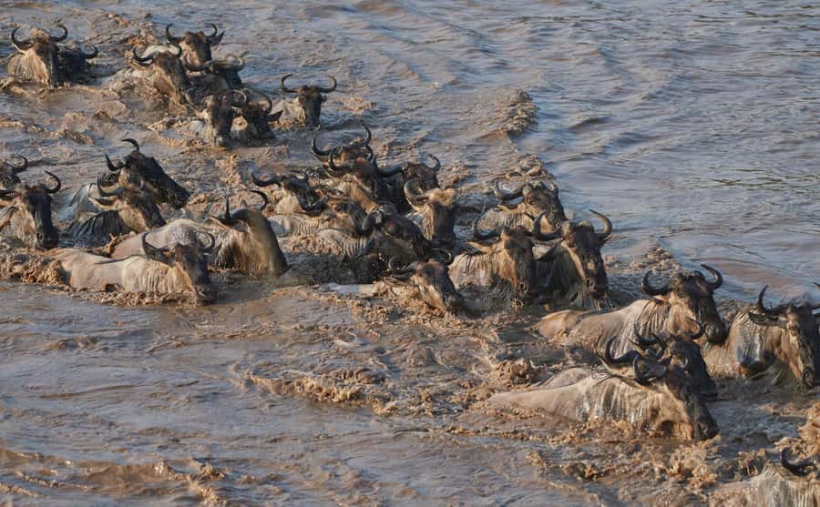 2 Days 1 Night Tarangire & Ngorongoro Crater - Tarangire or Ngorongoro: which park feels better?