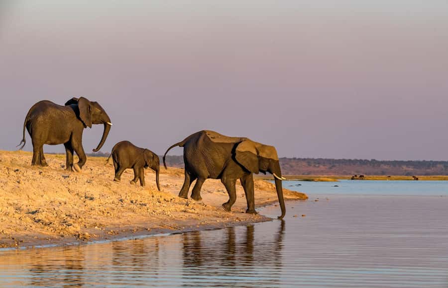 2 Days 1 Night Tarangire & Ngorongoro Crater - Day 1: From Arusha to Tarangire’s elephant country