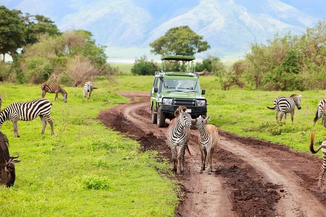2 Days Camping Group Joining Tarangire Ngorongoro Crater Safari - Day one: Tarangire’s river, elephants, and baobabs