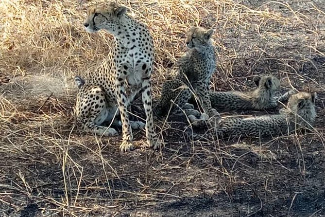 2 Days Camping Safari, Lake Manyara & Ngorongoro Crater - What the $455 price really covers