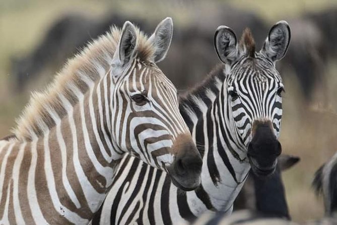 2 Days Camping Safari, Lake Manyara & Ngorongoro Crater - Leaving Arusha for Lake Manyara