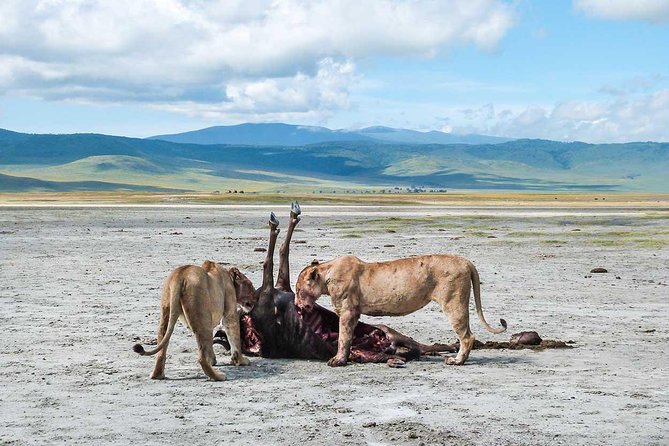 2 Days Joined Group Tarangire and Ngorongoro Crater National Park - Day two: the crater’s natural amphitheatre