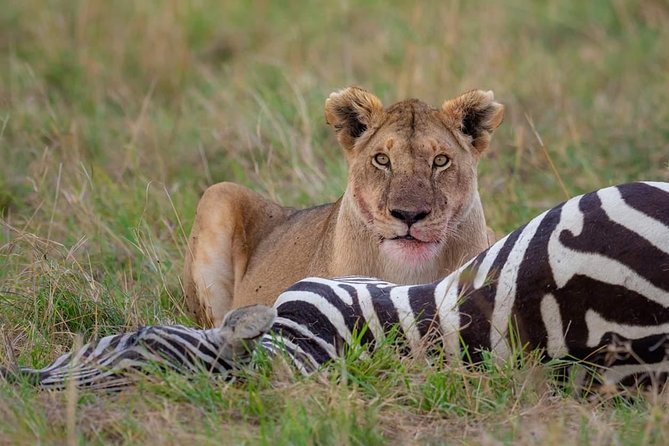 2 Days Joined Group Tarangire and Ngorongoro Crater National Park - Should you book the Tarangire and Ngorongoro trip?