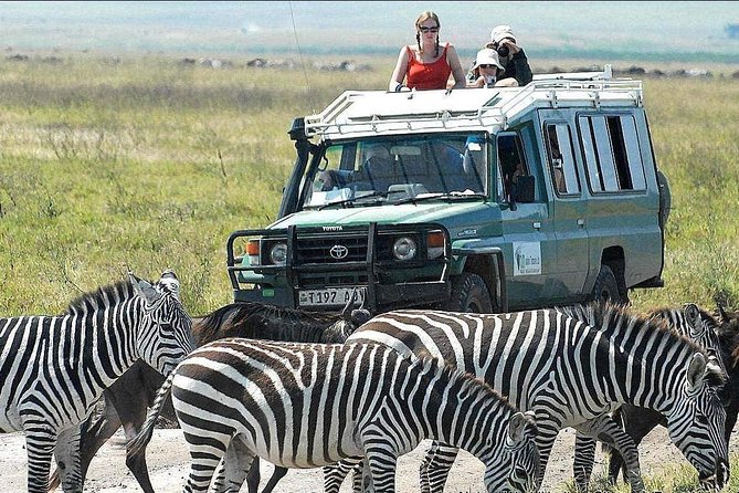 2 Days Joined Group Tarangire and Ngorongoro Crater National Park - Day one: elephants and baobabs in Tarangire