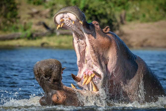 2 Days Lodge Safari - Lake Manyara and Ngorongoro Crater - Why this two-day safari works well