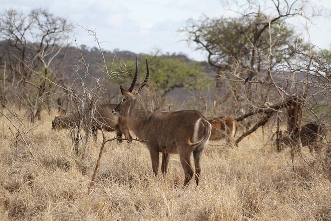 2 Days Lodge Safari - Lake Manyara and Ngorongoro Crater - Who should choose this safari
