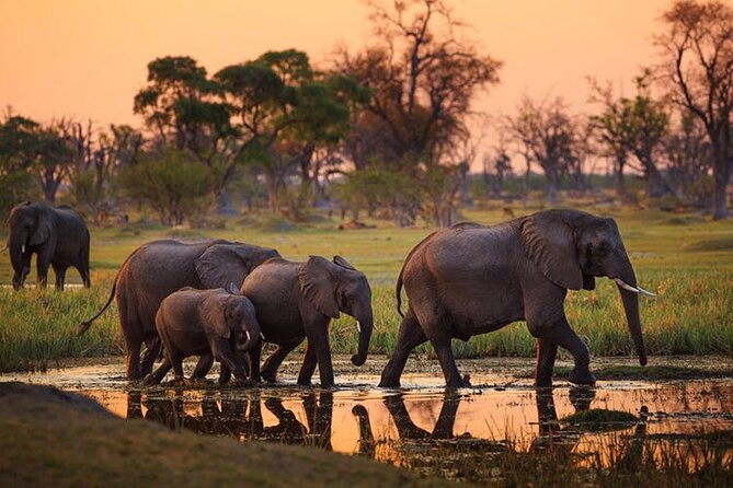 2 days Majestic Tanzania safari Tarangire and Ngorongoro Crater - Starting from Arusha or Moshi