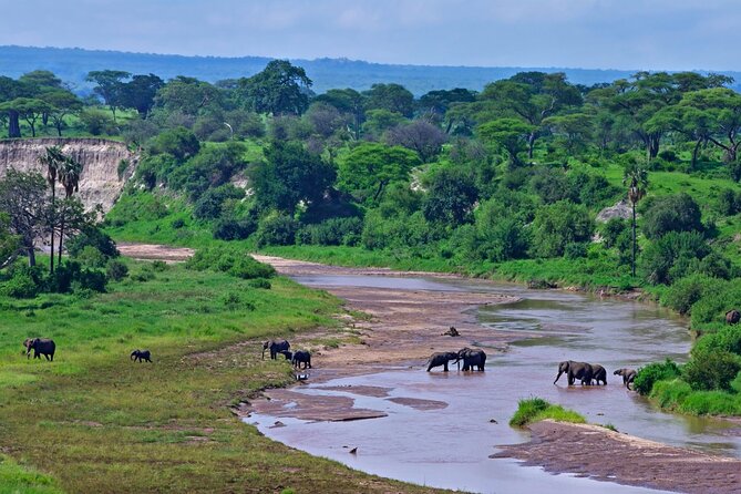 2 days Majestic Tanzania safari Tarangire and Ngorongoro Crater - The overnight camp and included meals