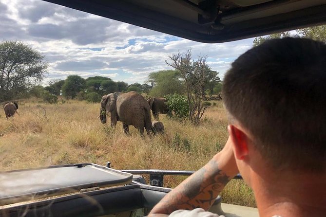 2-Days Private Midrange Safari; Tarangire & Ngorongoro Crater - Price, inclusions, and overall value