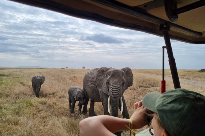 2 Days Safari in Tarangire and Ngorongoro Crater - Key points to know before booking