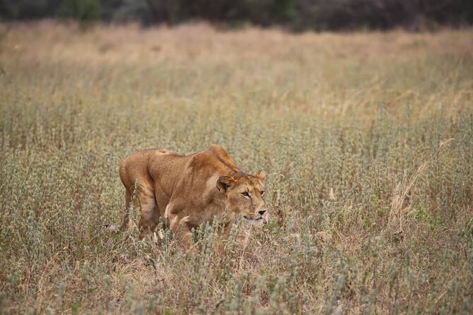 2 Days Safari in Tarangire and Ngorongoro Crater - The overnight arrangement needs a clear question