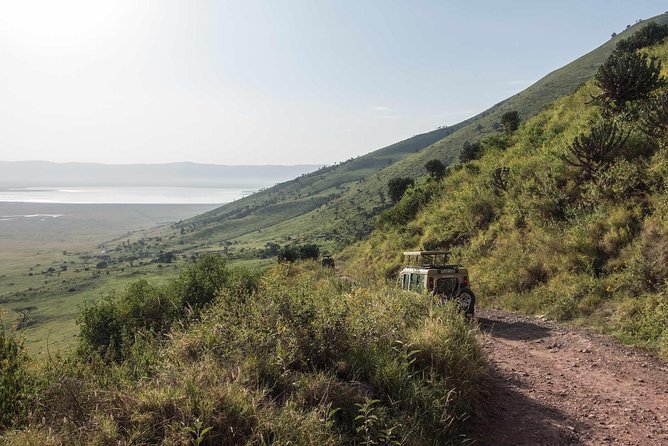 2-Days Safari Tarangire Park and Ngorongoro Crater - Tarangire National Park on day one