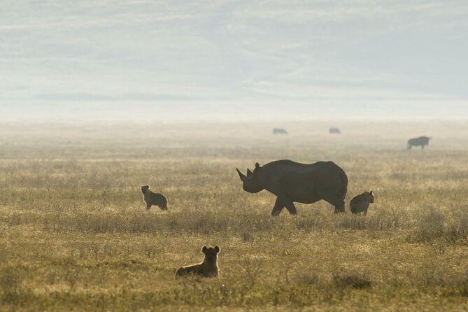 2 Days Safari Tour in Tarangire and Ngorongoro Crater - Who should book this safari?