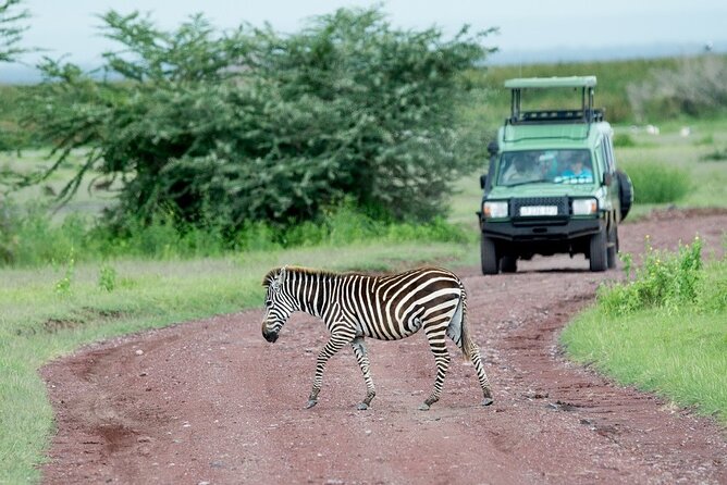 2-Days Safari Tour in Tarangire & Ngorongoro Crater - Why this two-day safari works