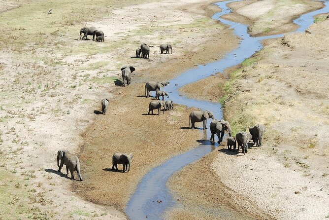 2-Days Safari Tour in Tarangire & Ngorongoro Crater - Day two: the Ngorongoro viewpoint