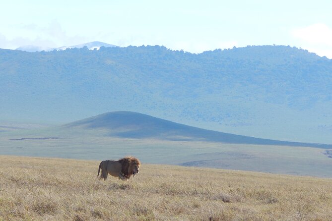 2 Days Tarangire and Ngorongoro Crater Tour - Ngorongoro Conservation Area and the Crater Floor