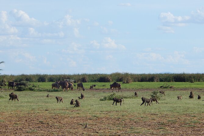 2 Days Tarangire and Ngorongoro Crater Tour - Does $515 Offer Good Value?