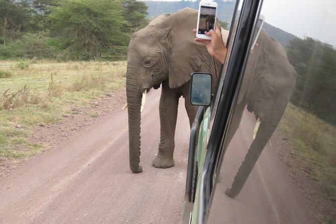 2 Days Tarangire and Ngorongoro Crater Tour - Tarangire: Baobabs, Elephants, and a Full Day Outside