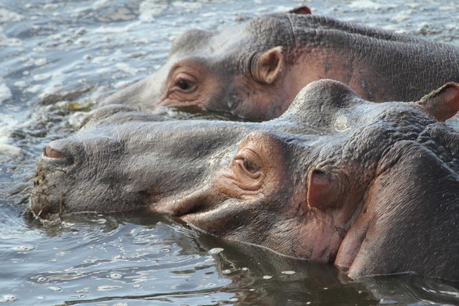 2 Days Wildlife game drives Through Tarangire and Ngorongoro Crater - Food, camping, and what the price really covers